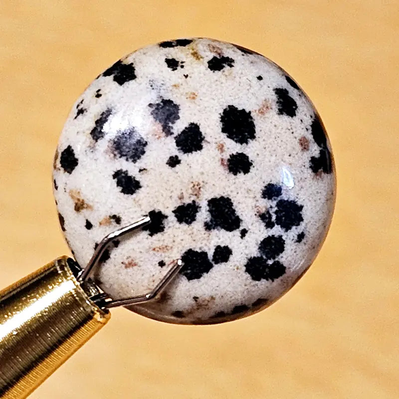 Round Dalmatian Stone Cabochon