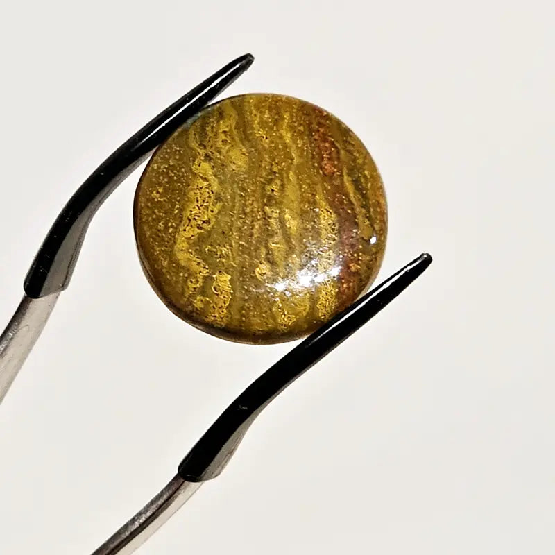 Round Jasper Cabochon