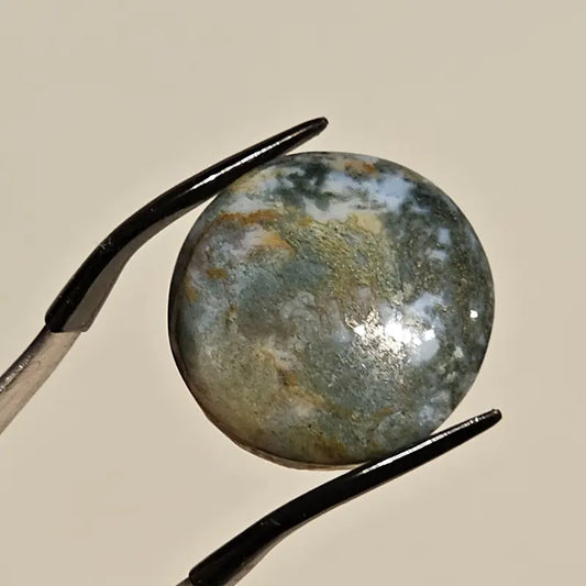 Round Chrysocolla Cabochon