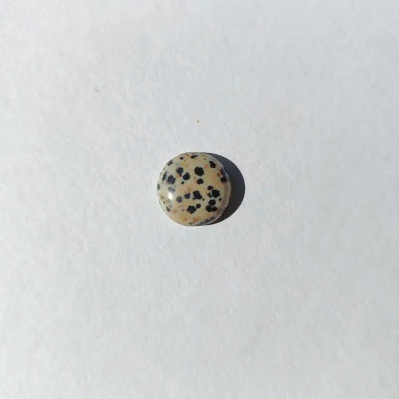 Round Dalmatian Stone Cabochon - Scandinavian Gem Design