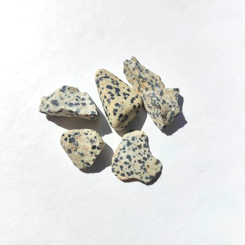 Natural Dalmatian Stone lot